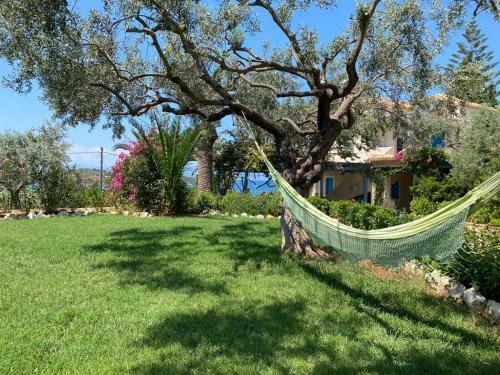 Hostal Casa Marimar Boutique Bungalows & Suites