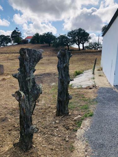 Quinta Da Corte