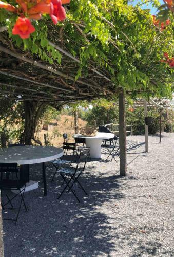Quinta Da Corte