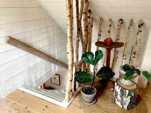 Cozy Home Surrounded By Nature