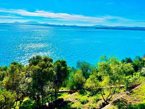 Villa Blumarin