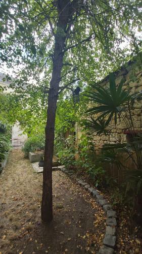 La Maison De Louise