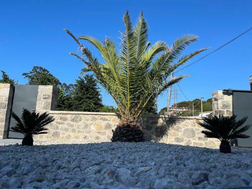Apartamentos Tur�sticos El Rincon�n