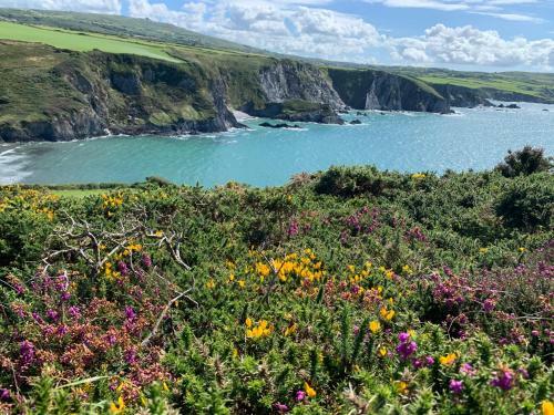 Bed & Breakfast Dylan Thomas Sea View