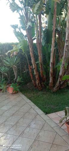 Villa Ros�