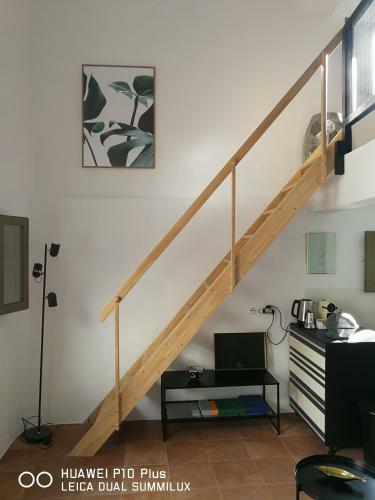 Apartamento Molino Mio