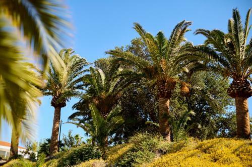Apartamento Montegrottone Spa Resort