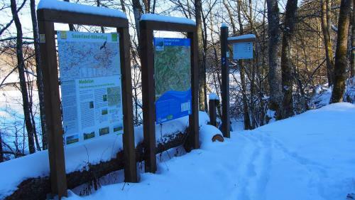 Apartamento Fewo Talula - Sauerland Mit Hund