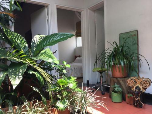 Hostal Sam�n Medell�n