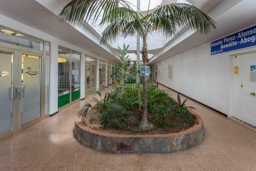 Apartamento Tinache Beach 103 Maspalomas