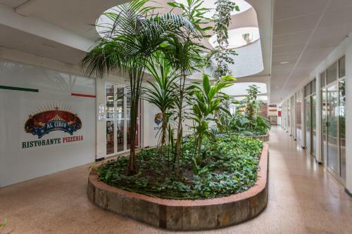 Apartamento Tinache Beach 103 Maspalomas