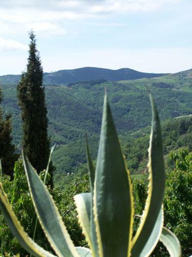 Hotel G�te De Chapel�che Les Glycines
