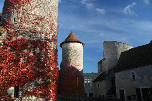 Bed & Breakfast Chateau D'ingrandes - Chambres D'h�tes