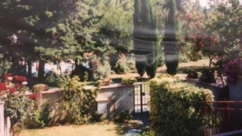 Villetta Con Terrazza E Giardino