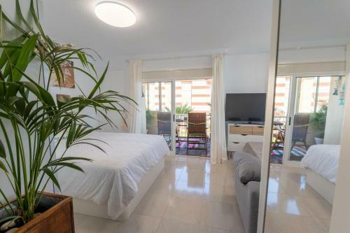 Apartamento Estudio Medayra