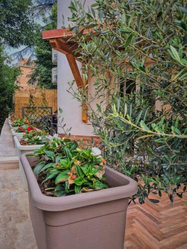 Hostal Luxury Cecilia