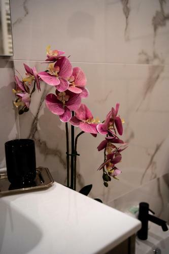 Hostal Luxury Cecilia