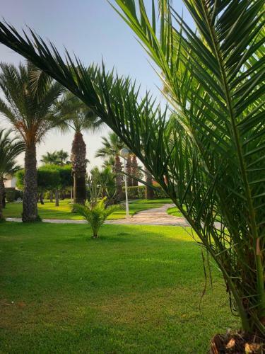 Apartamento Vera Natura Las Olas