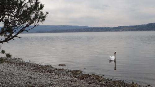 Apartamento Auszeit Am Bodensee