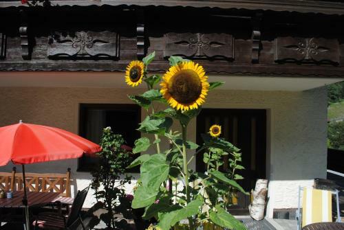 Apartamento Naturhaus Andrea