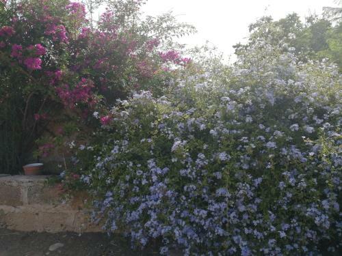 Apartamento Baglio Borromeo