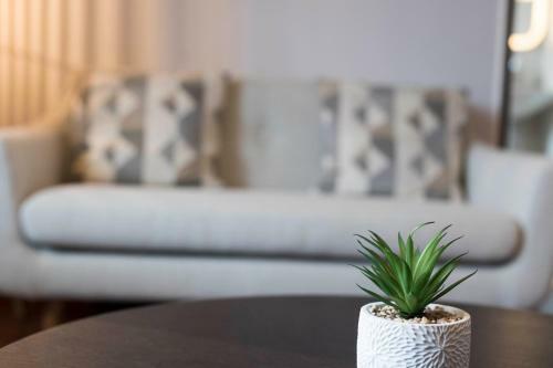 Apartamento Murrua