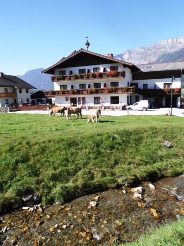 Hostal Pension Tilly