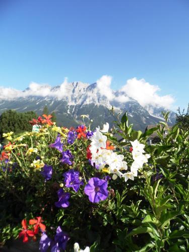 Hostal Pension Tilly