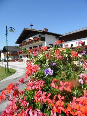 Hostal Pension Tilly