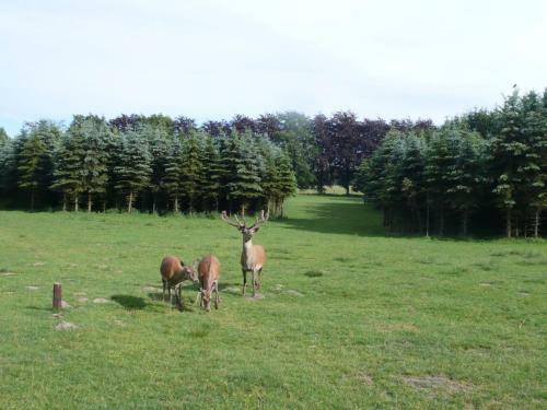 Holiday Home La Hestrale Tilletst. Ode