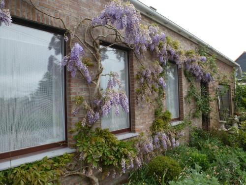 Hostal Guesthouse Kolibriehuys