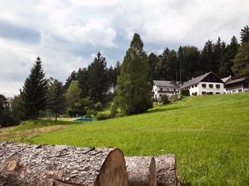 Hostal Gasthof Waldschenke