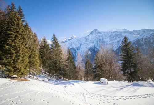 Chalet 8 Pers Massif Du Mont-blanc - Les Houches
