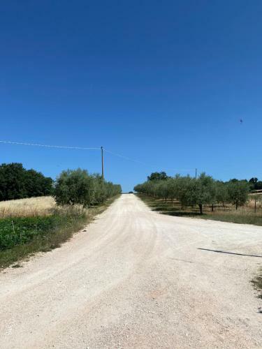 Casa Vacanze Fra Gli Ulivi