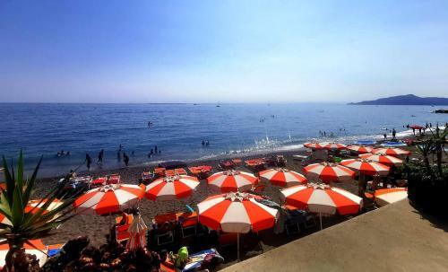 Terrazza Eugenia