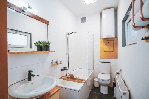 Studio Apartment Zur Alten Post