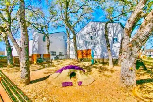 Apartamento Austin Apt #1 Queen Bed, Pet Friendly, Pool, Gym!