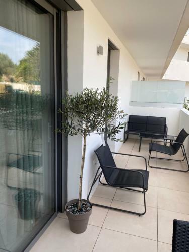Apartamento Entre Mer Et Piscine