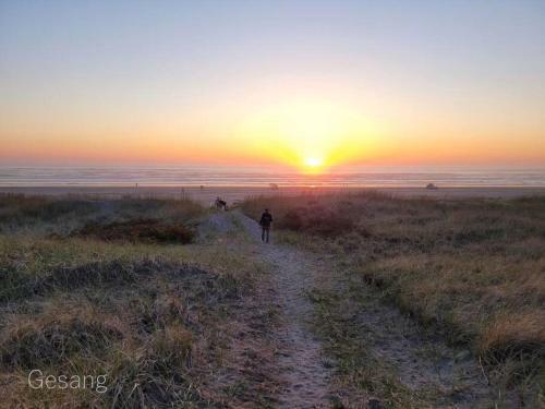 Octopus Lair, Walk To Beach, A/c, Shuffleboard, Dogsok