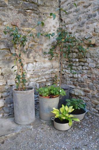 La P'tite M�geon