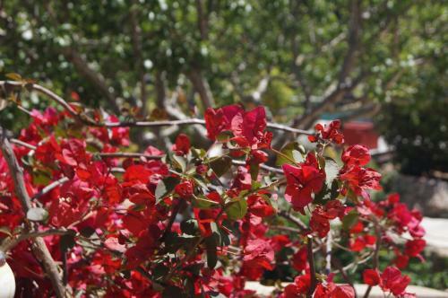 Hostal Room In Bb - Santa Giulia - Charming Bed And Breakfast With Breakfast Included 3