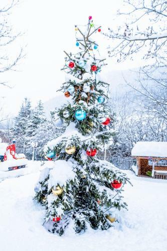 Kinderhotel Appelhof