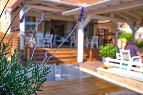 Hostal Houmis Apts & Studios