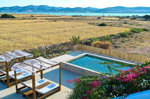 Villa Paros House