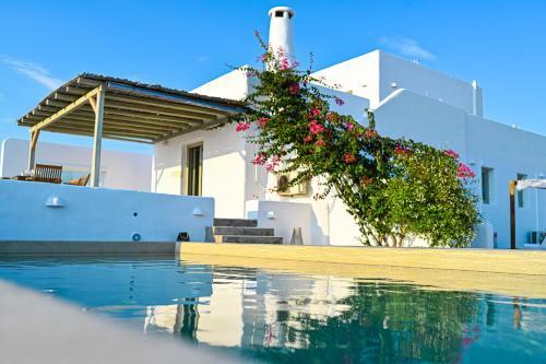 Villa Paros House