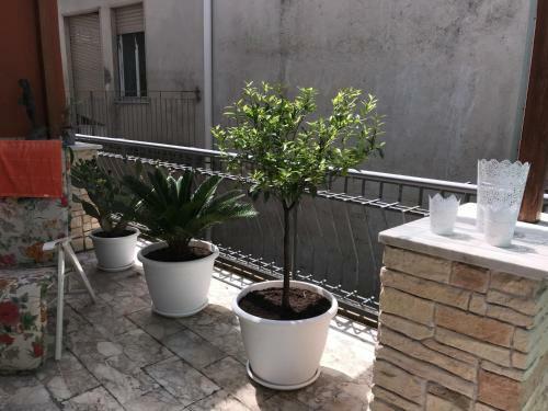 Apartamento Casa Josy