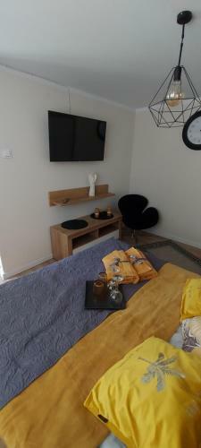 Apartamento Pokoje U Camili