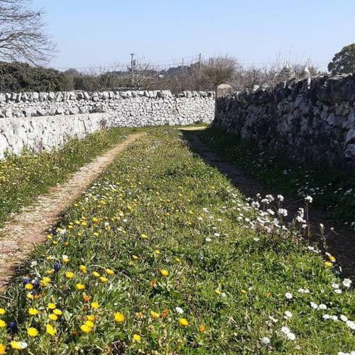 Apartamento B&B Trulli Sotto La Cupa