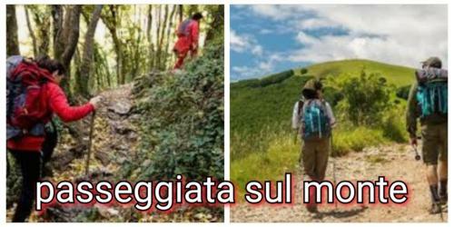 Il Cinghiale
