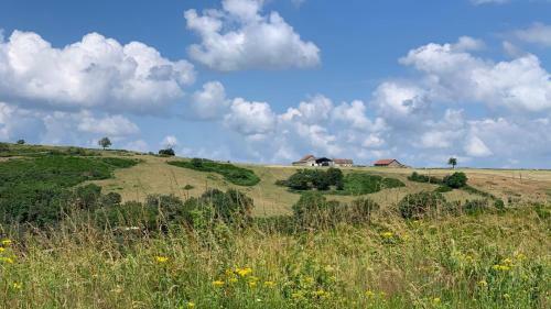Domaine Les Sauges